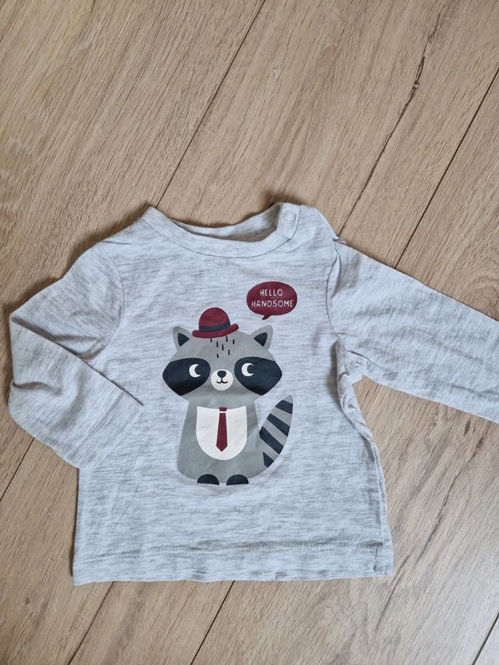 T-shirt Raton laveur