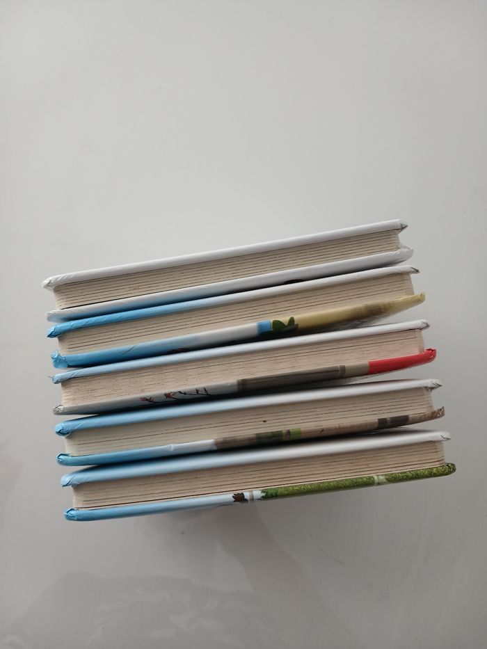 Lot de 5 livres pour enfants - Collection Fleurus (P'tit Garçon / P'tit Héros) - photo numéro 5