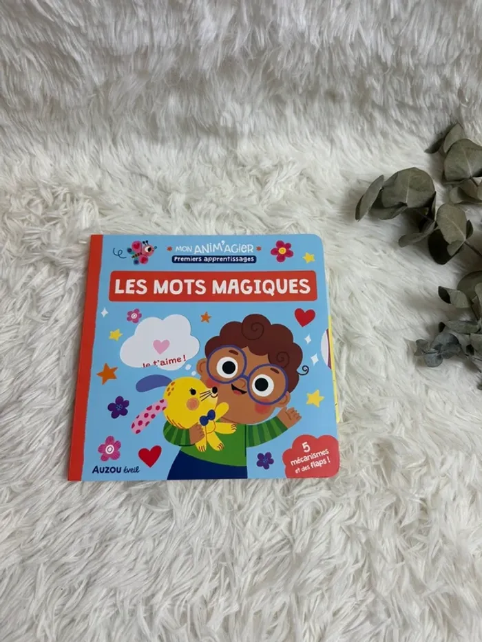 Livre les mots magiques Auzou