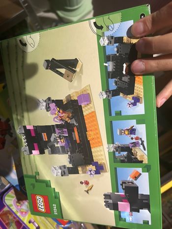 Lego minecraft 21242