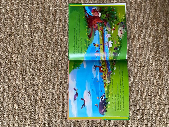 Livre enfant « Le Printemps » - photo numéro 3