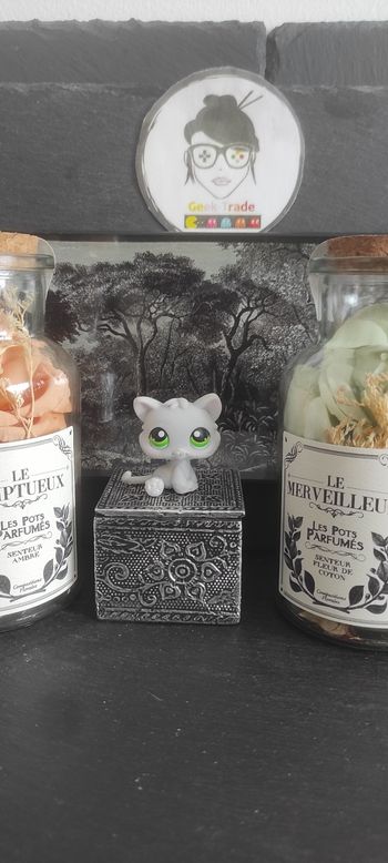 Littlest Petshop Pet Shop LPS Authentic  Authentique cat Kitten Snowshoe 88 Chat