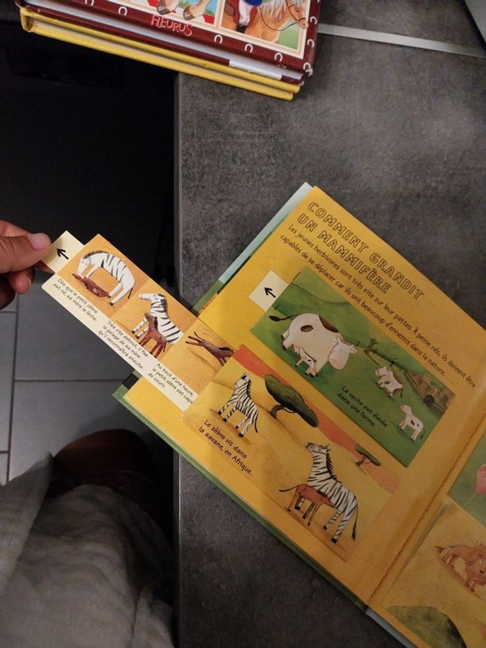 Kididoc. Les bébés animaux - photo numéro 4