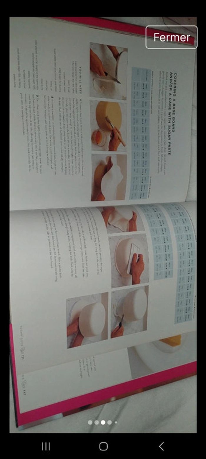 Livre Couture Wedding Cakes
de Mich Turner - photo numéro 3