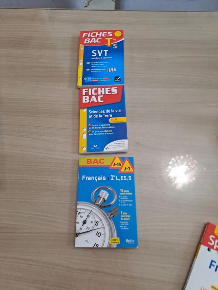 Lot de livres bac - photo numéro 3