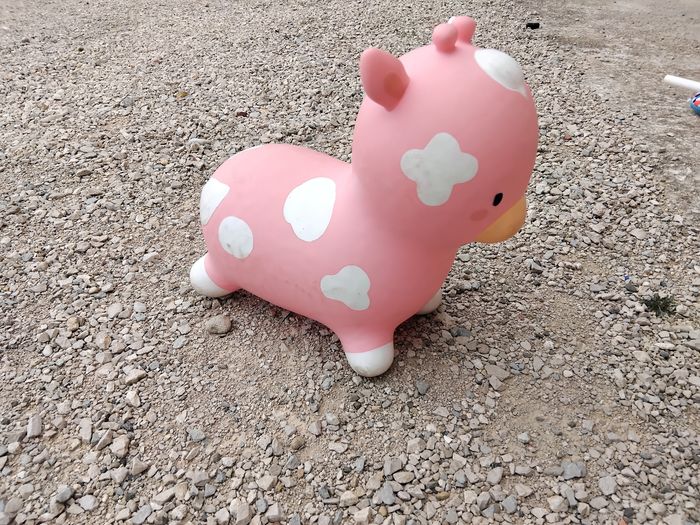 Vache sauteuse