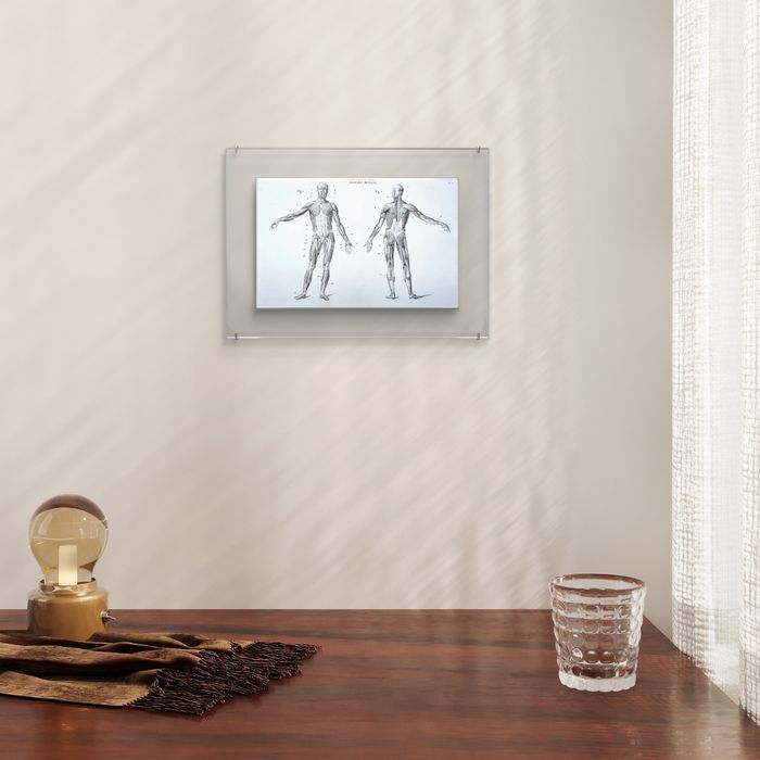 Imprimée en 1851, Le Squelette humain, Vintage Authentique (cadre non inclus ) - photo numéro 5