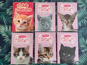 Livres enfant Le Club des chatons, tomes 1 à 6