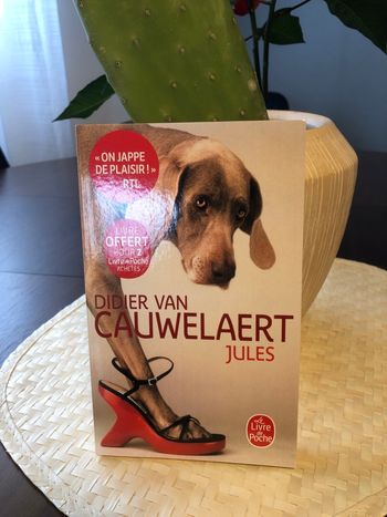 Jules - Didier Van Cauwelaert 