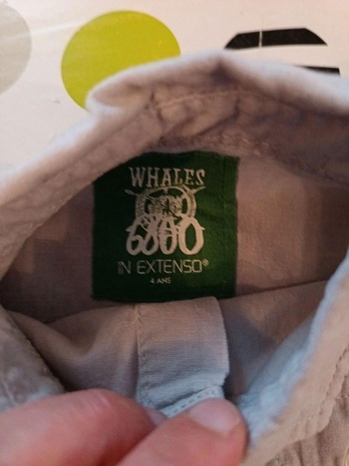 Chemise + polo In Extenso 4 ans - photo numéro 2