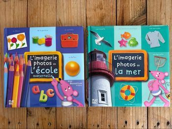 Lot de 2 livres imagerie
