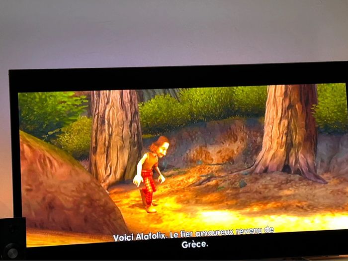 Astérix aux jeux olympiques jeu wii - photo numéro 10