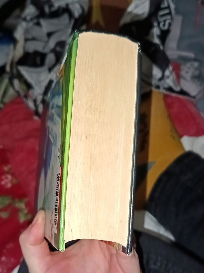 Harry potter and the deathly hallows - photo numéro 7