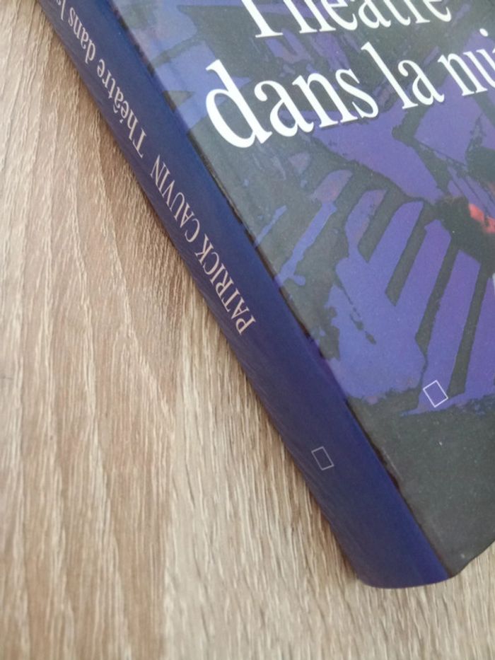 Patrick Cauvin 🫧 Théâtre dans la nuit - photo numéro 4