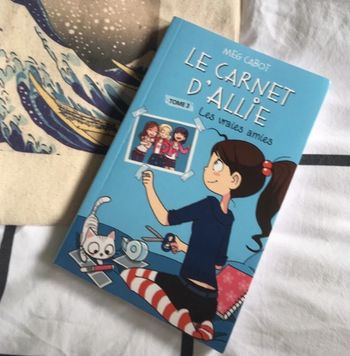 Livre le carnet d’Allie tome 3 : les vraies amies