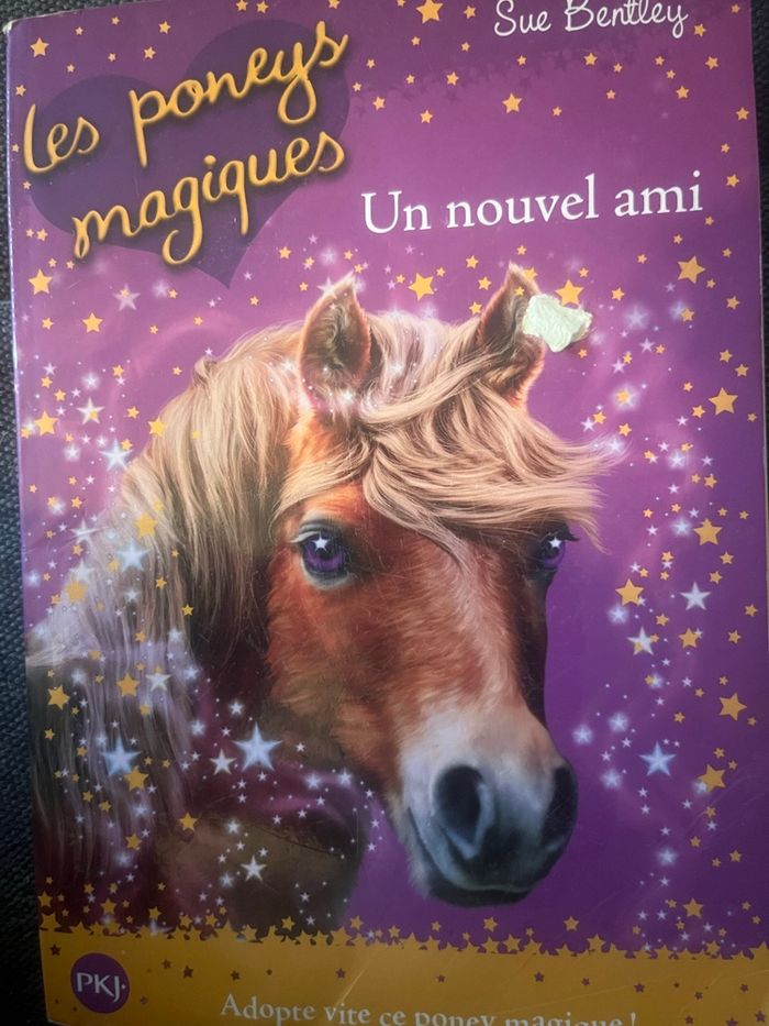 Les poneys magiques tome 1 un nouvel ami