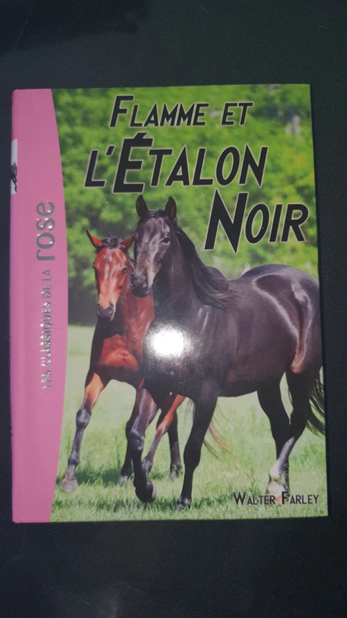 Flamme et l'Etalon noir - photo numéro 1