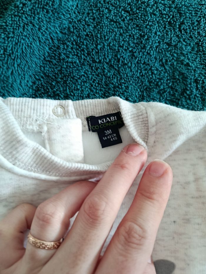 Pull phoque - photo numéro 3