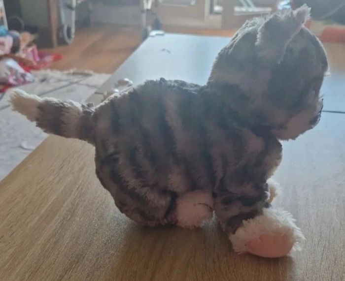 Chat neuf peluche - photo numéro 3