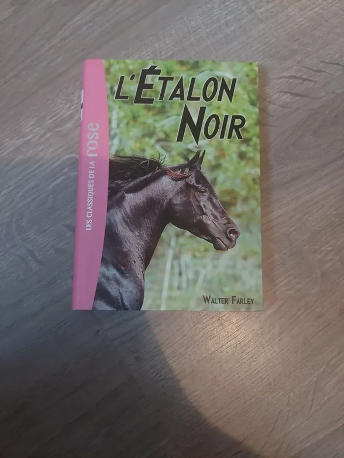 L'Etalon Noir