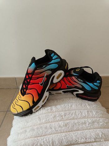 Nike Air Max Plus - TN Perruche