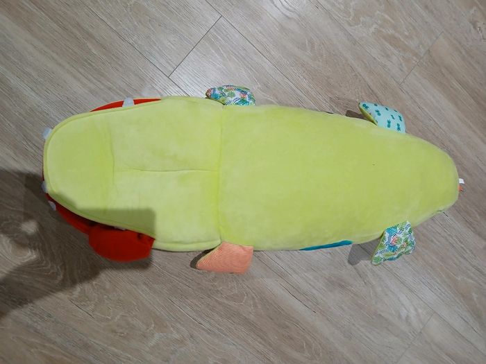 Crocodile lilliputien - photo numéro 3