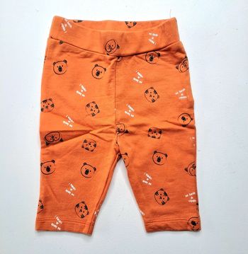 Jogging animaux 3 mois