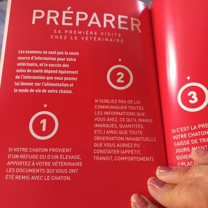 Le guide du chaton - photo numéro 4
