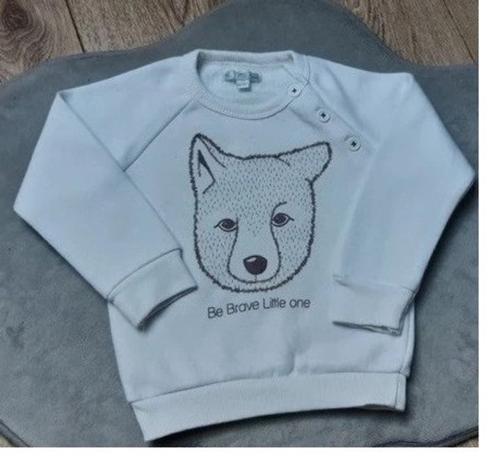 pull "mes petits cailloux" 18 mois en très bon état