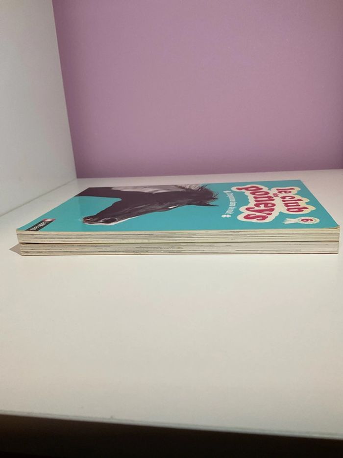 Lot livres collection Le club des poneys (Tomes 4 et 6) - photo numéro 5
