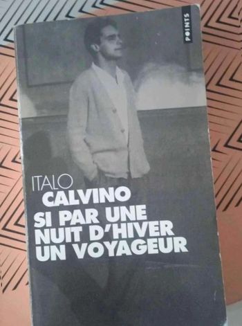 Si  par  une  nuit d'hiver un  voyageur
