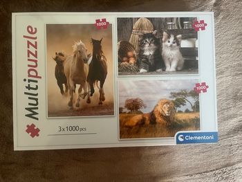 Puzzle clémentonie