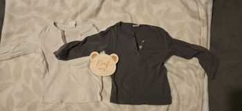 Lot de 2 tee shirts manches longues 9 mois