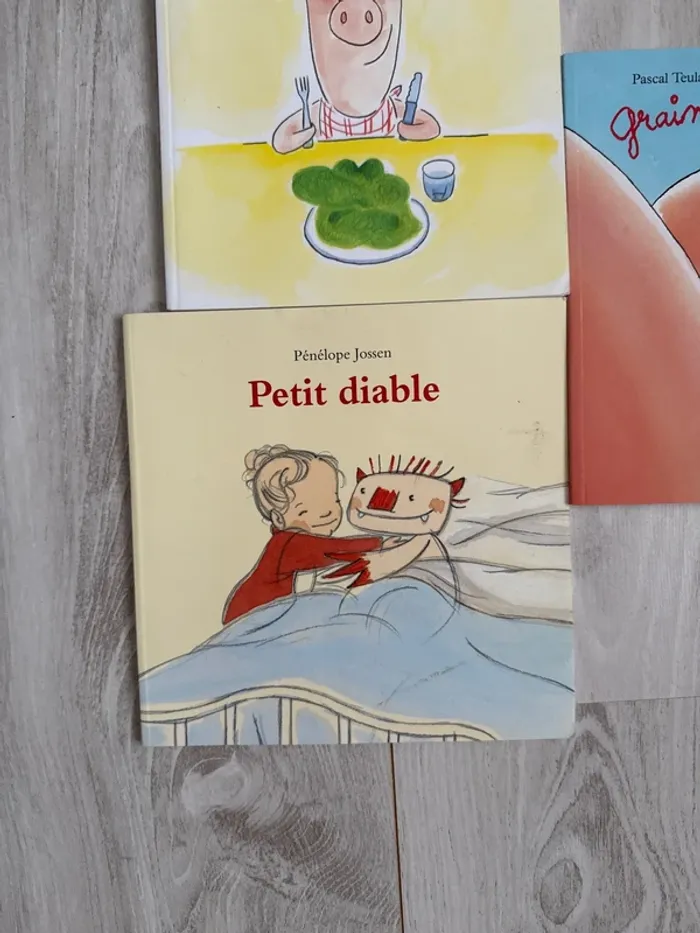 Lot 3 livres - photo numéro 3