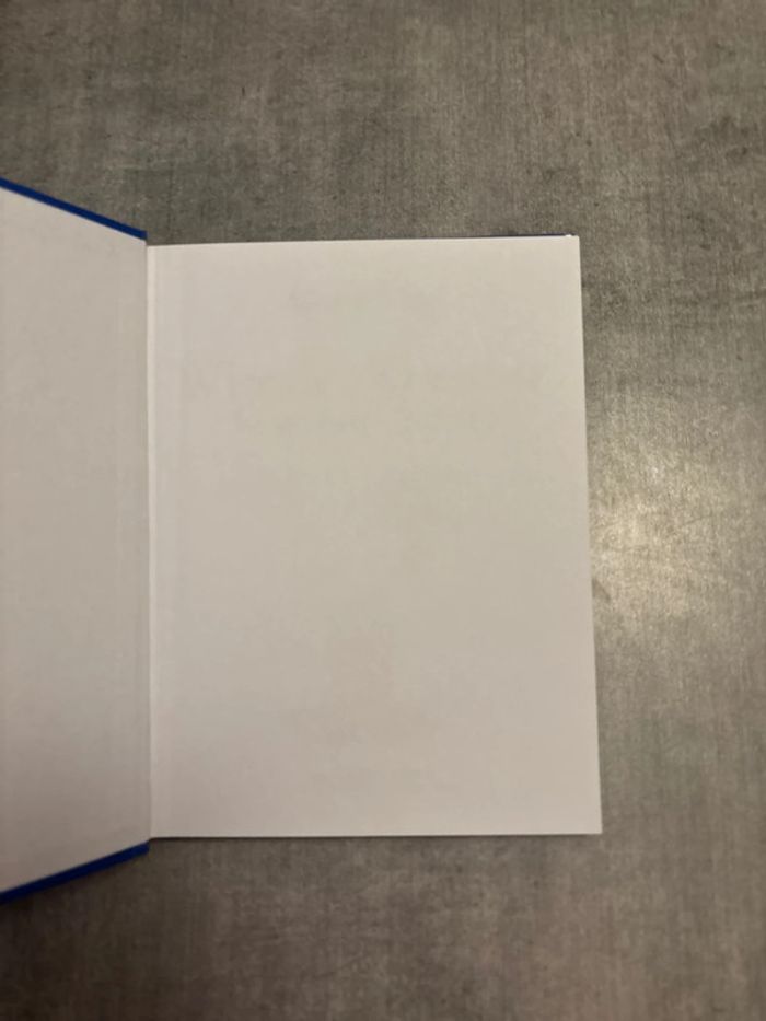 Livre Winnie, l’ourson, le grand voyage - photo numéro 2