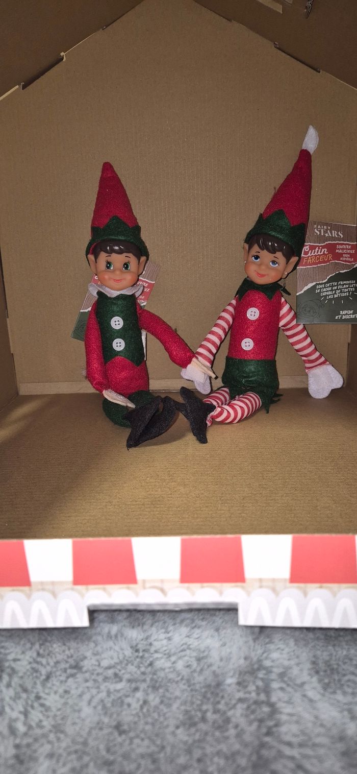 Duo lutins farceurs - photo numéro 9