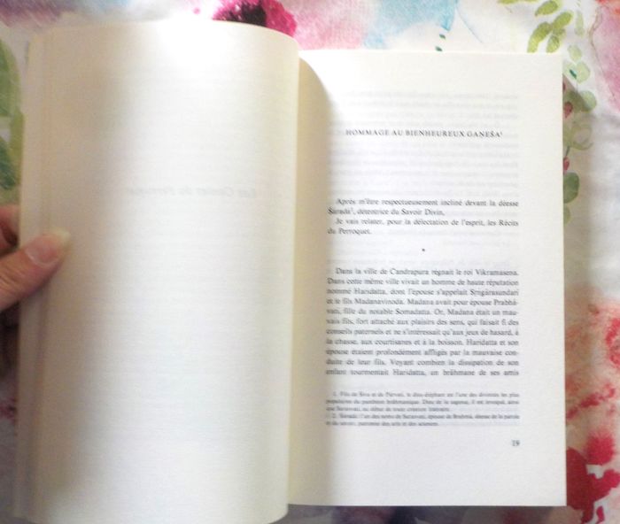 LES CONTES DU PERROQUET traduit du sanskrit Ed. Gallimard - photo numéro 7