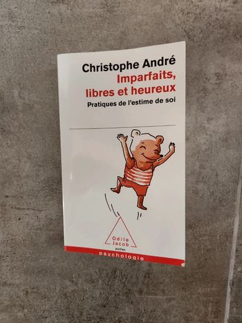 Livre : imparfait, libres et heureux