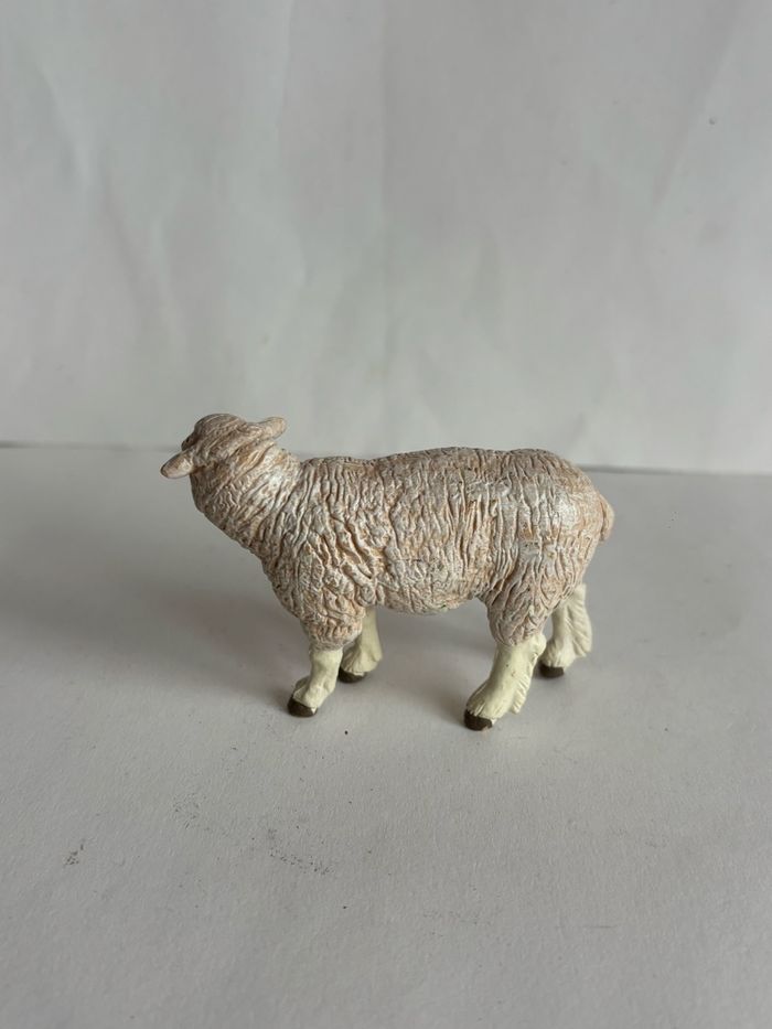 Mouton papo - photo numéro 3