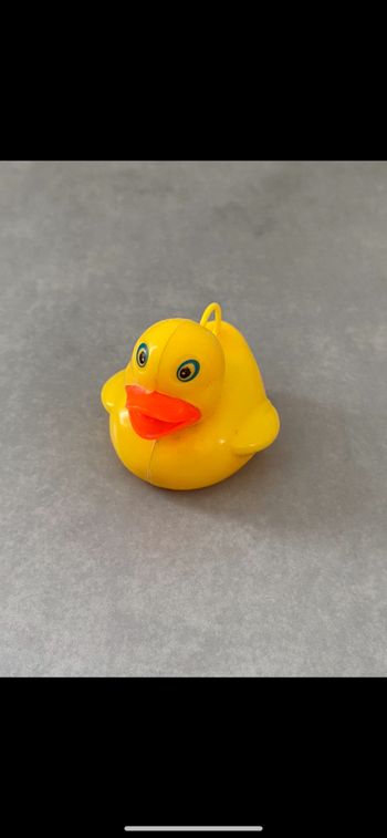 Canard pêche au canard