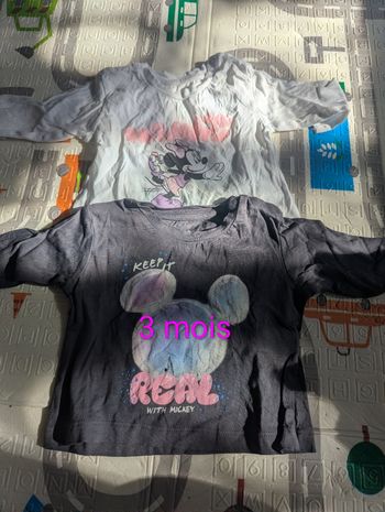 2 t-shirts manches longues Minnie