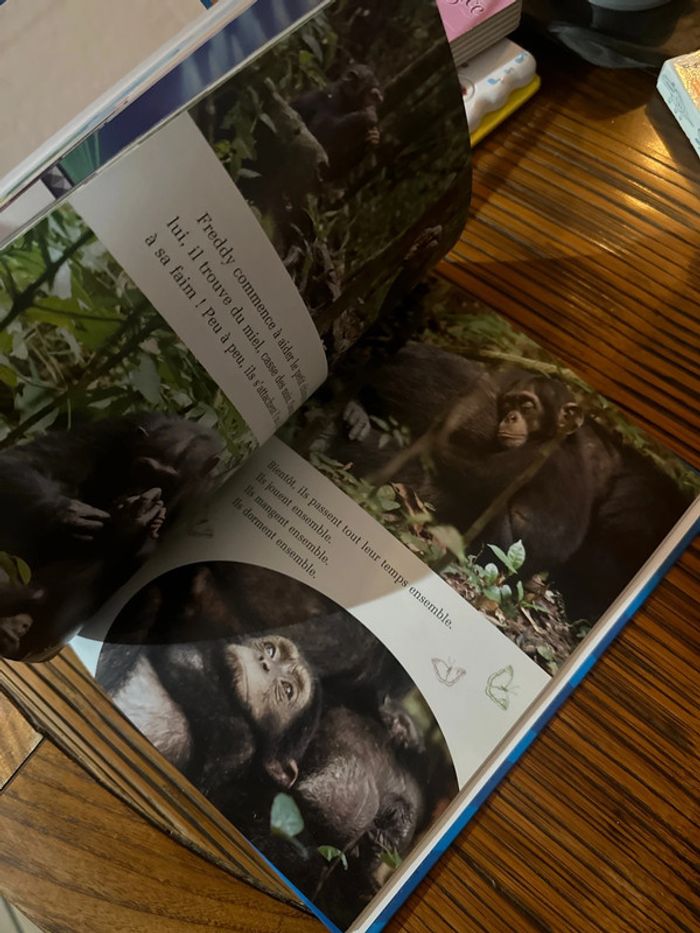 Livre Disney mon Album - photo numéro 4