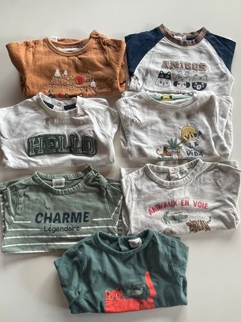 Lot tee shirt ML 24m