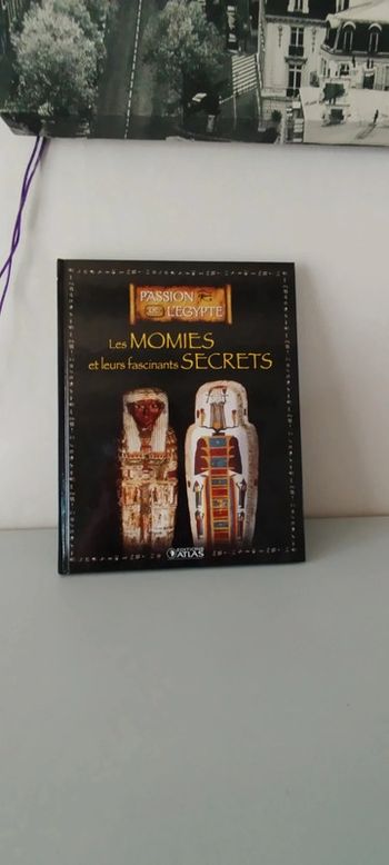 Les momies et leurs fascinants secrets