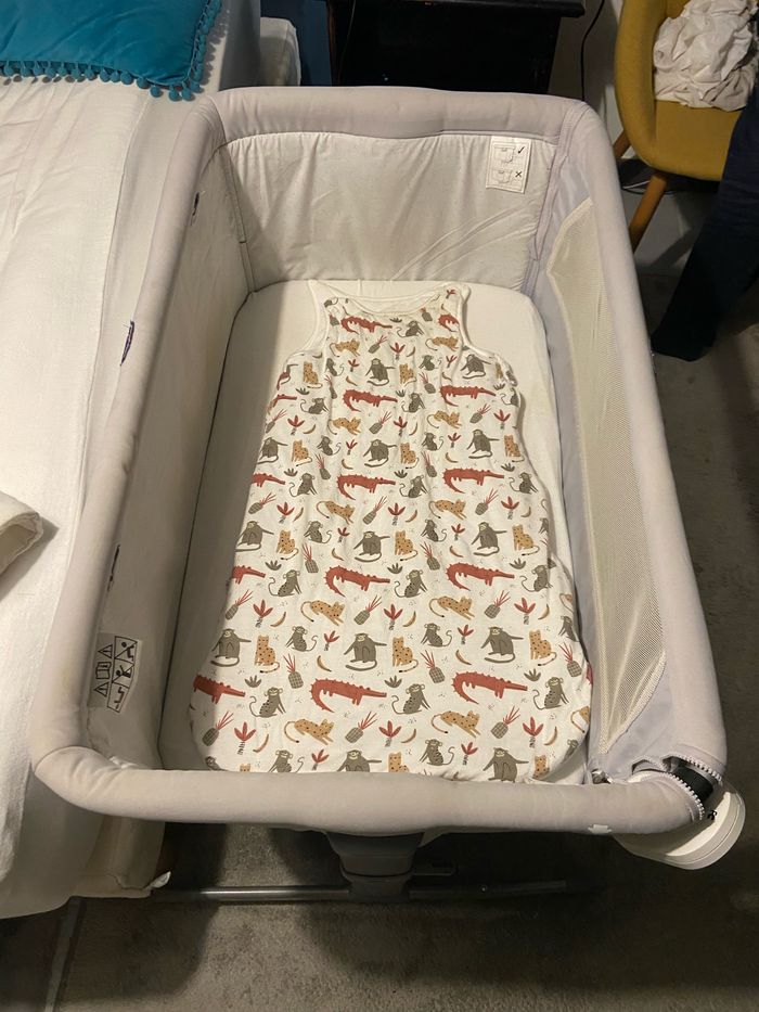 Cododo Next to me - photo numéro 5