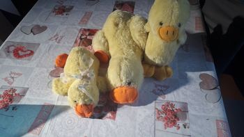Peluches canards