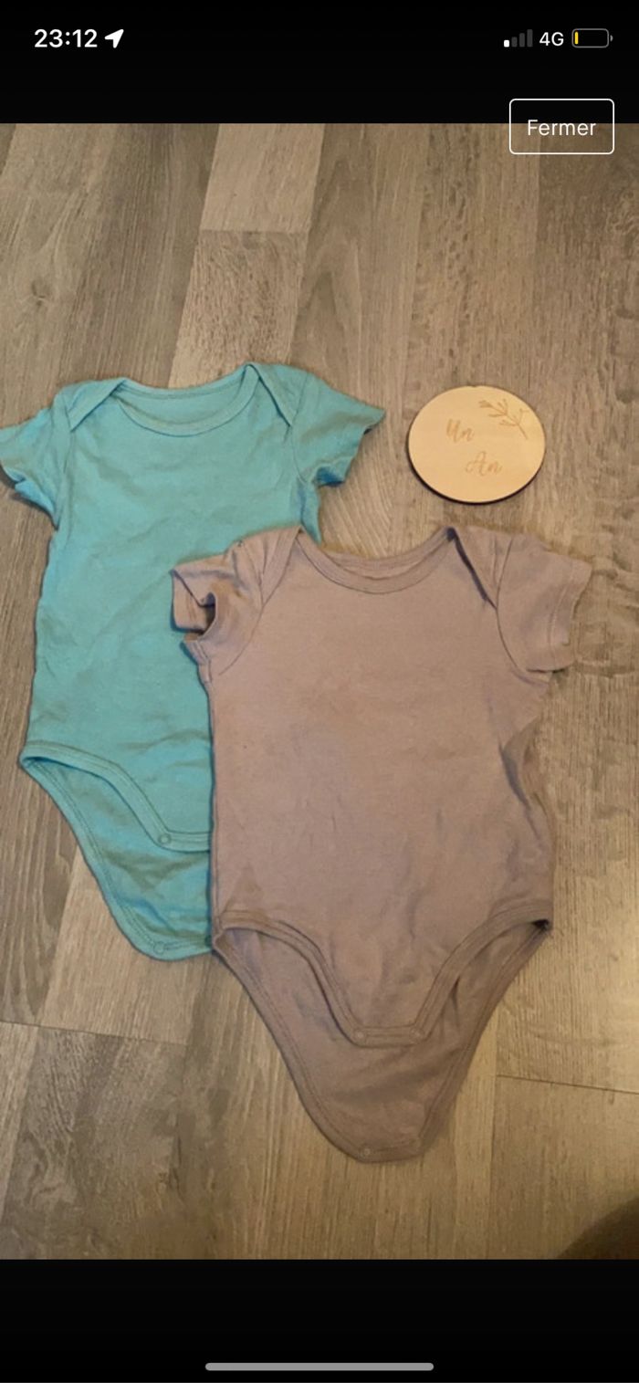 Lot 2 bodies manche courte 12 mois