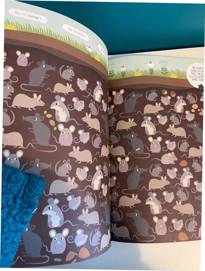 Livre cherche et trouve et d’observation Ralph le loup - photo numéro 3