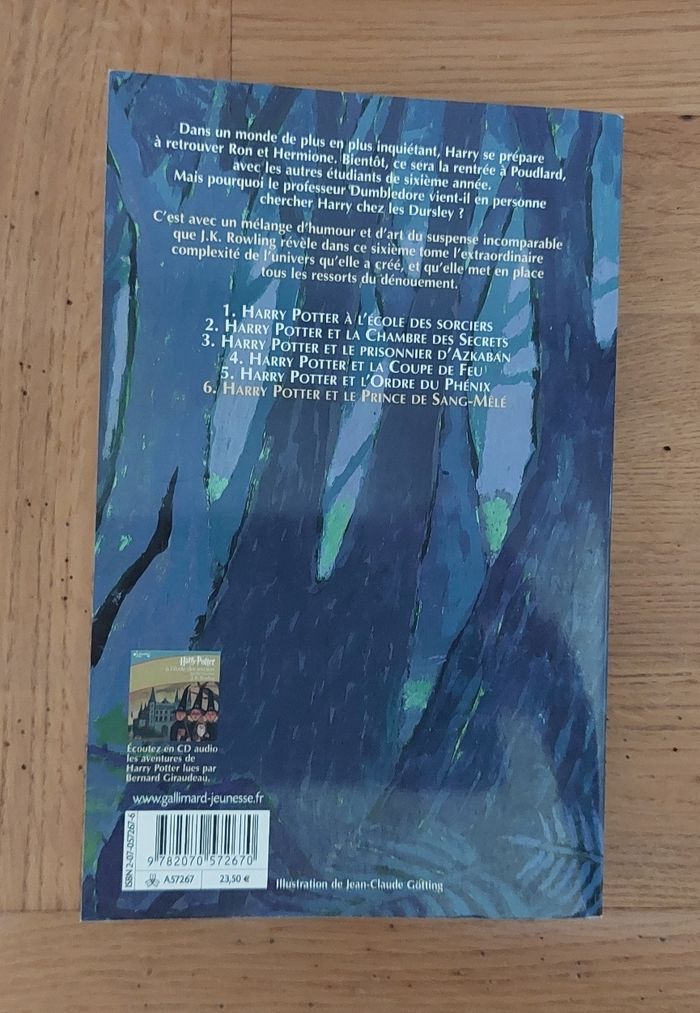 Harry Potter et le prince de Sang-Mélé - photo numéro 6