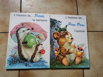 L'histoire de Pam Pam et Pelote, lot de livres Hemma